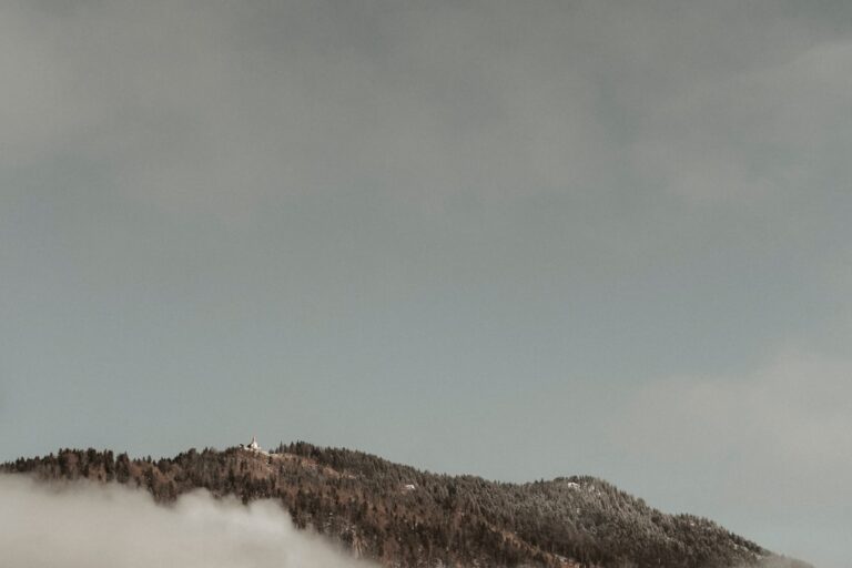 Photo Aleșd