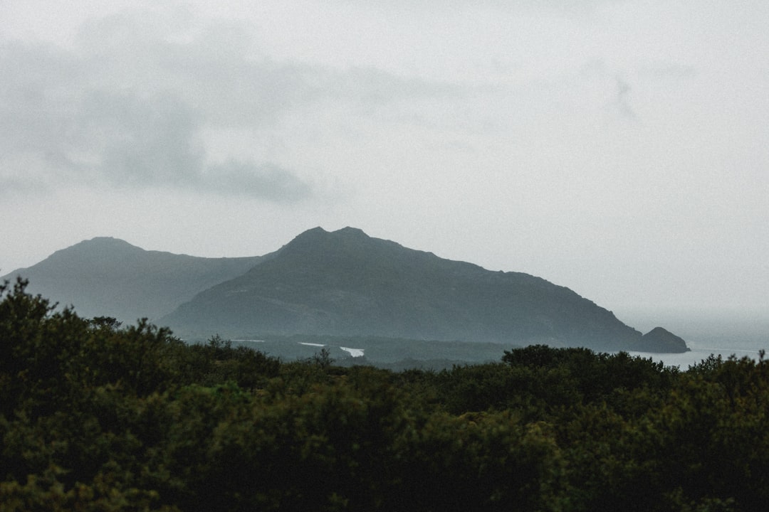 Photo Tampa Peak