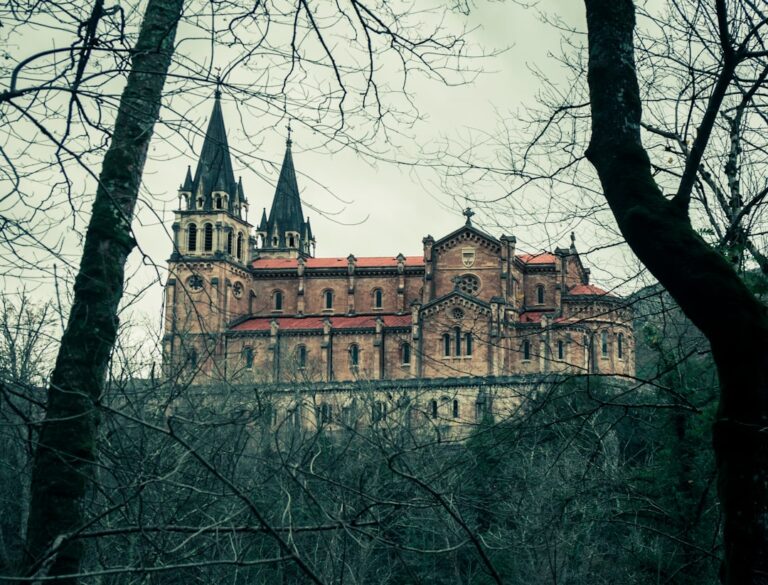 Photo Sâmbăta de Sus Monastery