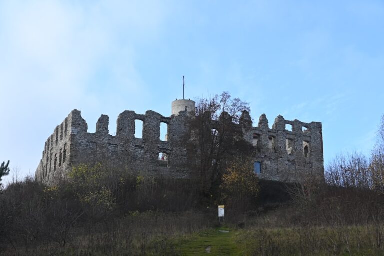 Photo Râșnov Castle