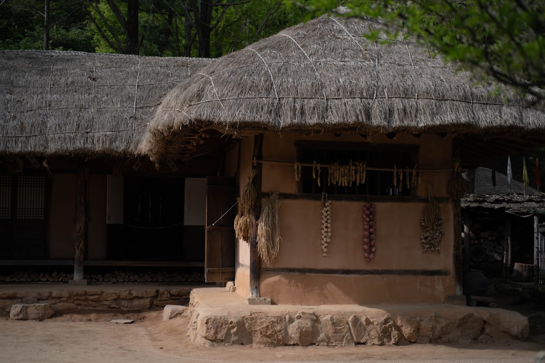 Photo traditional guesthouses
