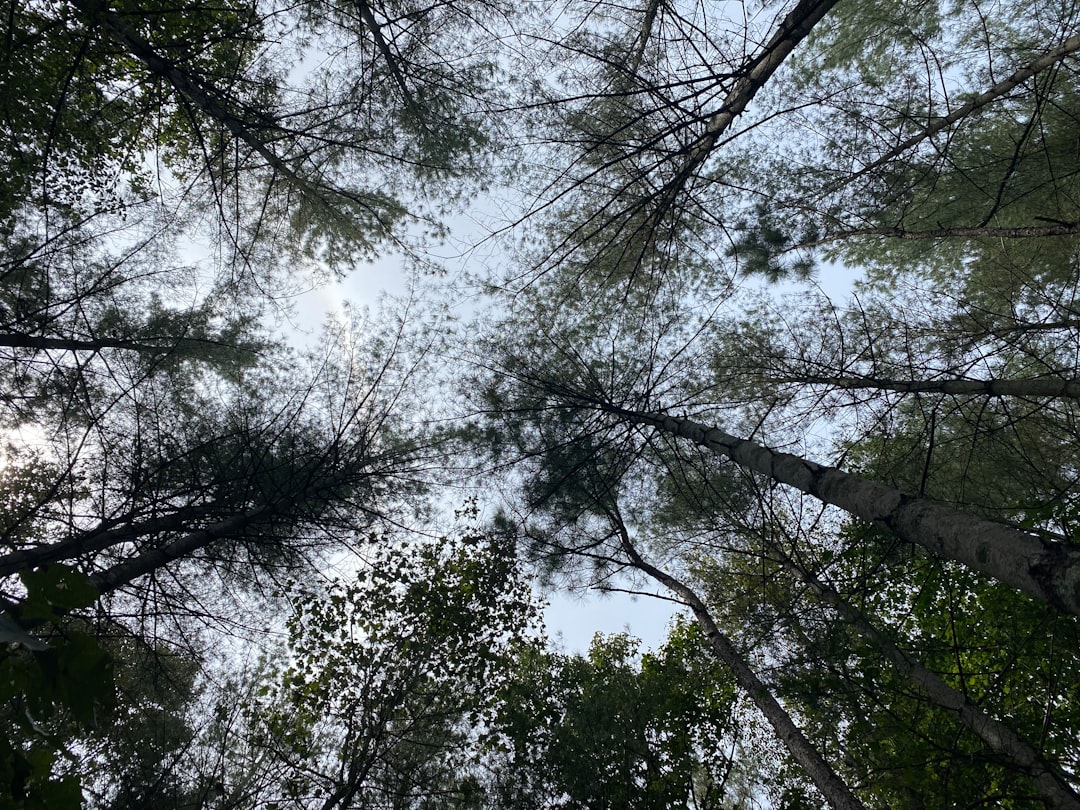 Photo reconnect with nature