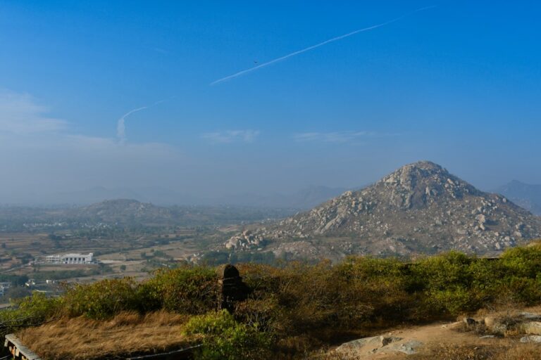 Photo reconnect with nature