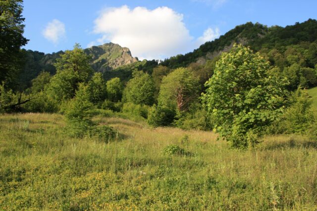 Locuri unde liniștea este adevăratul lux