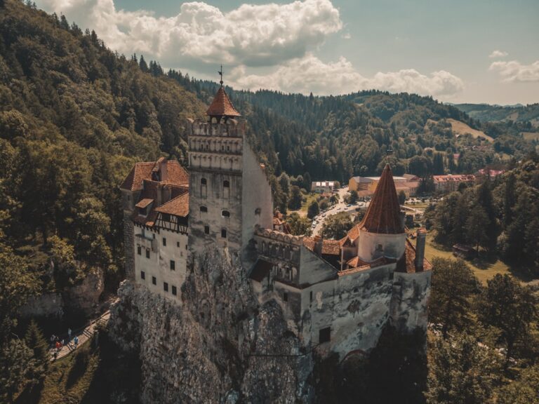 Photo activities for children in Brasov