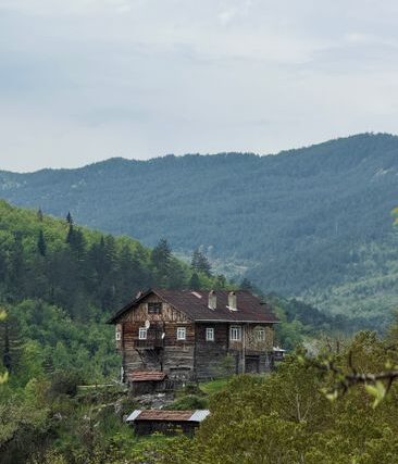 Cum alegi materialele potrivite pentru o casă la munte — Brasov Visitor