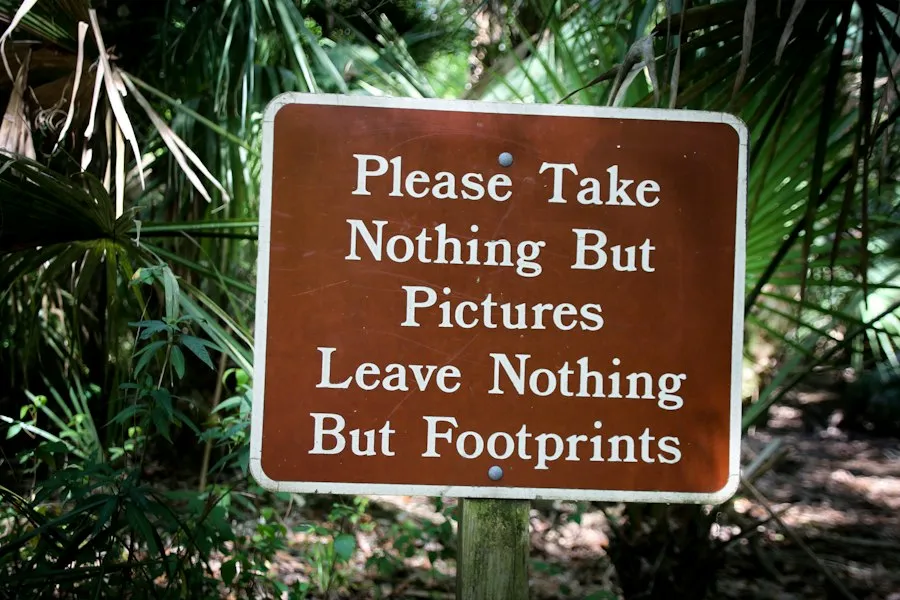 Photo Tâmpa hiking mistakes